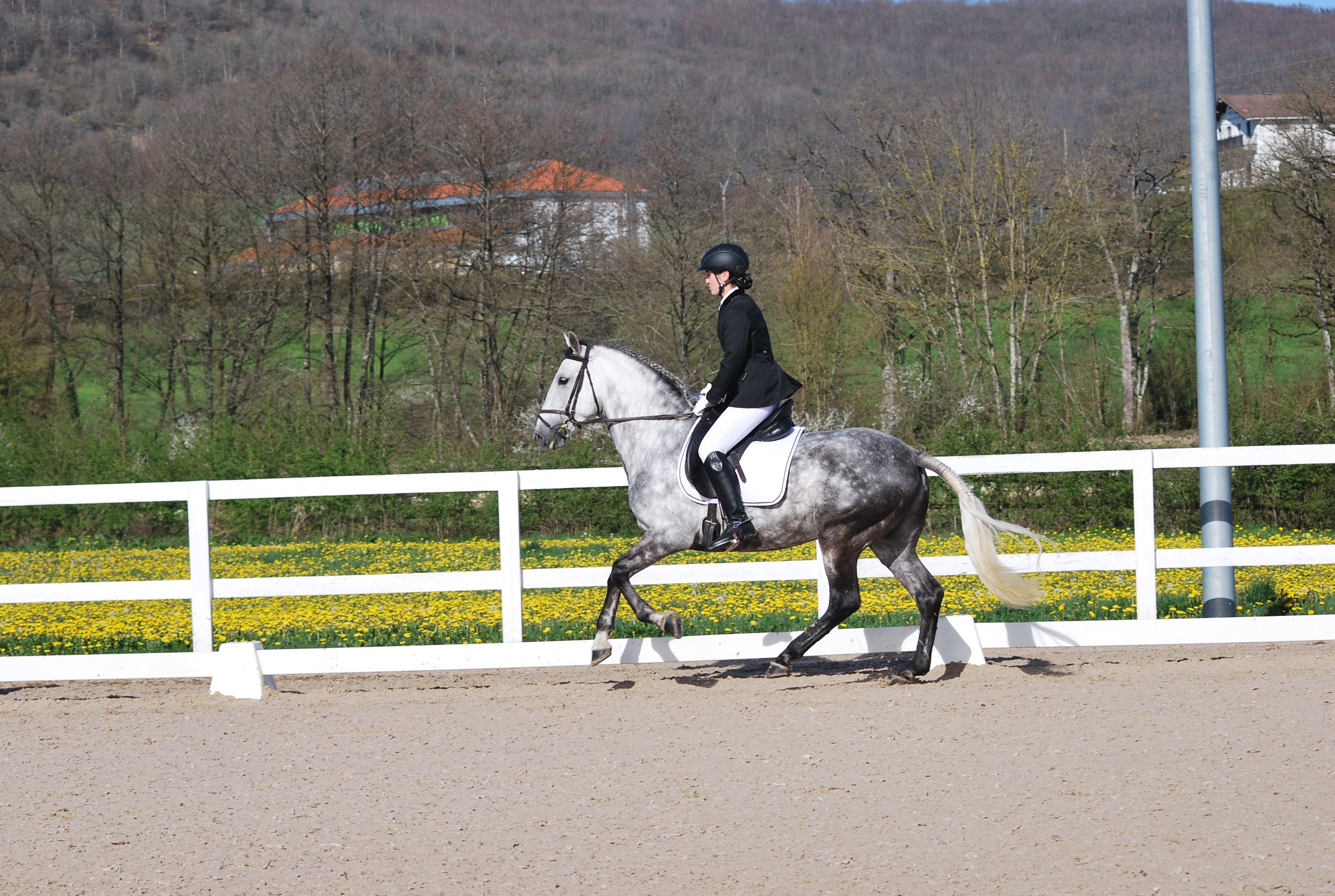 Clasificación 1ª fase Liga Navarra Doma Clásica Niveles 1-5 y JJDD 2014